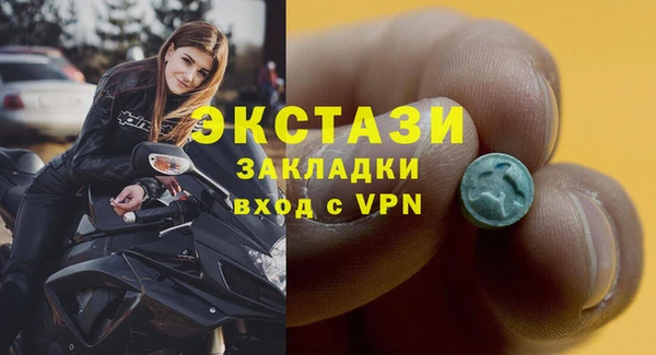 индика Медногорск