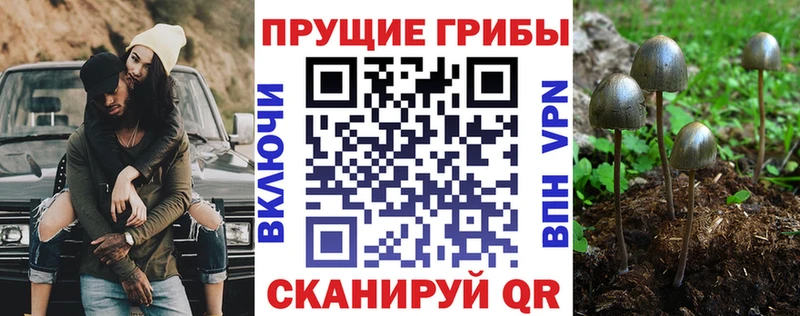 omg зеркало  Звенигово  Галлюциногенные грибы мухоморы 